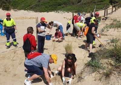 Jornada de voluntariado ambiental en el entorno de la playa de la Savinosa de Tarragona...