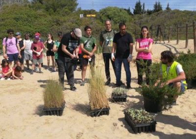 Jornada de voluntariado ambiental en el entorno de la playa de la Savinosa de Tarragona...