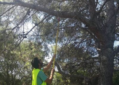 Jornada de voluntariado ambiental en los Morrots de la Savinosa...