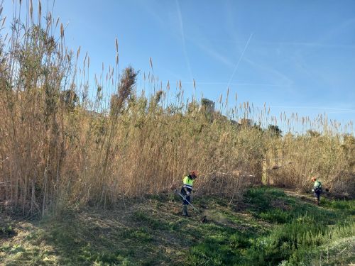 Proyecto de mejora de la conectividad del entorno fluvial del torrente Garidells...