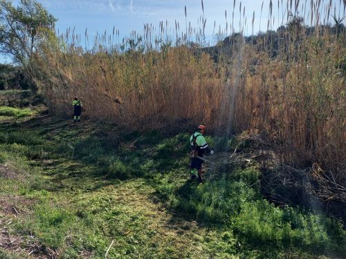 Proyecto de mejora de la conectividad del entorno fluvial del torrente Garidells...