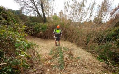 Proyecto de mejora de la conectividad del entorno fluvial del torrente Garidells