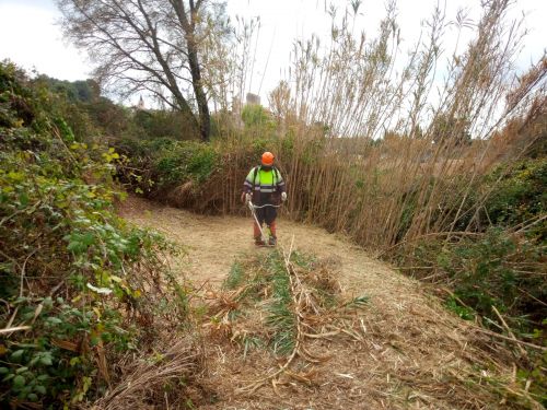 Proyecto de mejora de la conectividad del entorno fluvial del torrente Garidells...