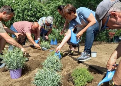 Plantada de aromáticas con familias del CET...