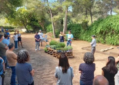 Plantada de aromáticas con familias del CET...