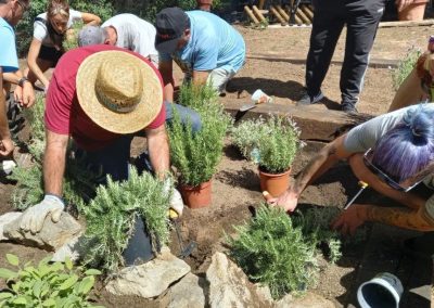 Plantada de aromáticas con familias del CET...