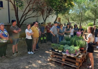 Plantada de aromáticas con familias del CET...